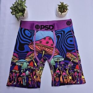 PSD Men's Colorful Boxer Briefs - Blue and Purple